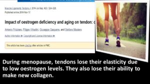 Impact Of Low Oestrogen On Tendons