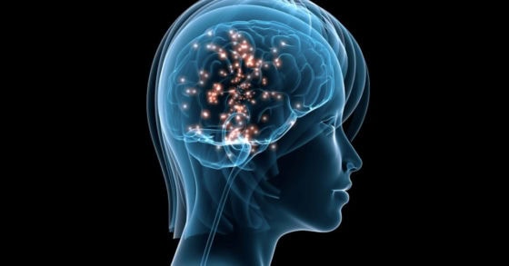 diagram of brain chemicals