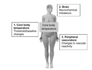 pituitary sweats night temperature gland brain