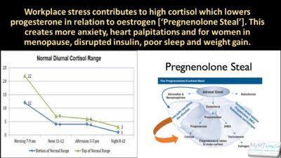 Workplace Stress & Menopause