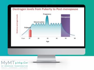 Oestrogen Levels From Puberty to Menopause Graph