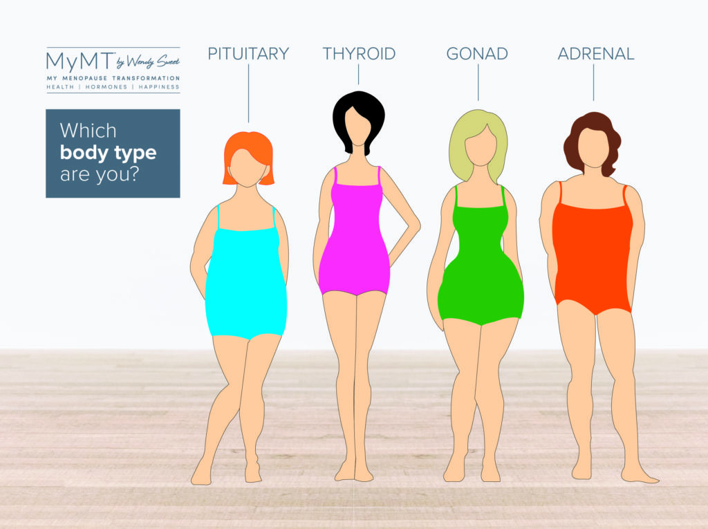 The science behind your changing shape in menopause. My Menopause