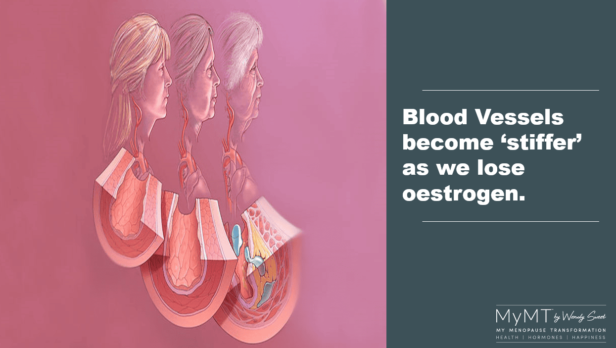 Discover the power of Kyolic garlic for your ageing blood vessels as