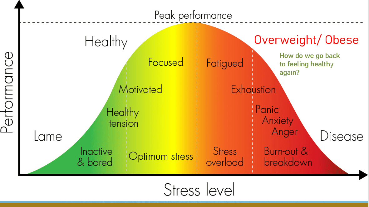 Stress levels