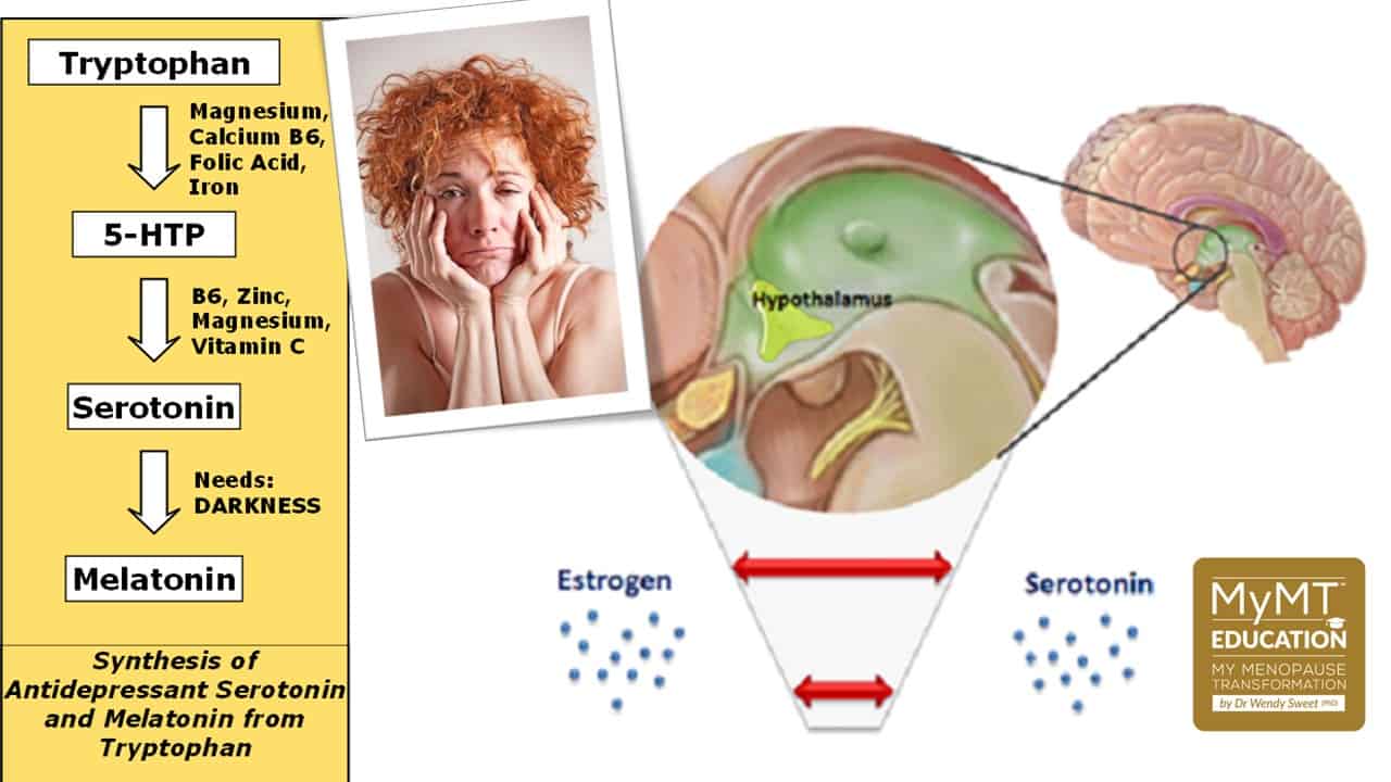 Moods and Tryptophan and Serotonin Image and Logo
