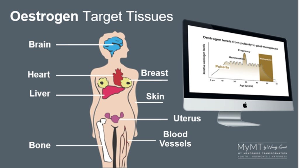 Oestrogen Target Tissues