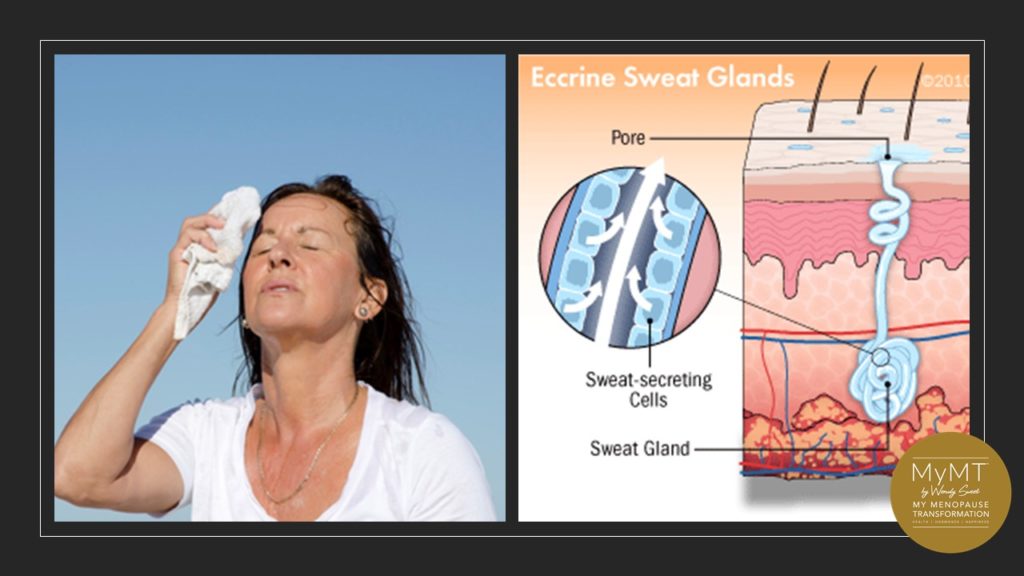 The Science of your Night Sweats in Menopause and the nutrients you need to turn down the