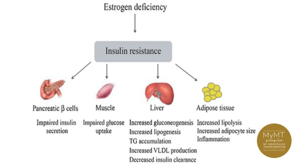 Why managing insulin resistance matters for your weight gain in post