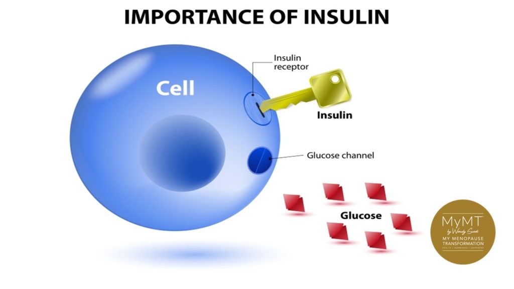 Why managing insulin resistance matters for your weight gain in post