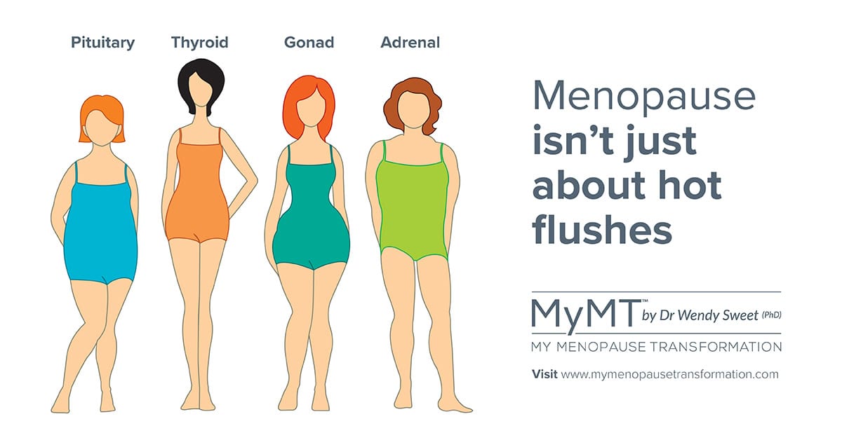 Discover 5 Reasons for Your Weight Gain in Menopause MyMT™