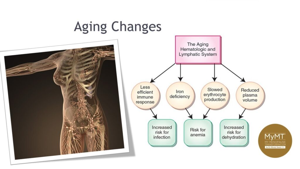 Swollen ankles, aching legs and your changing lymphatic system in