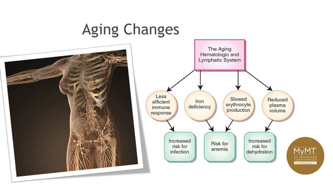 Illustration showing the causes of menopause swelling and puffy ankles in menopause