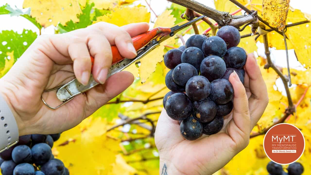 Blog Page 2 of 44 My Menopause Transformation