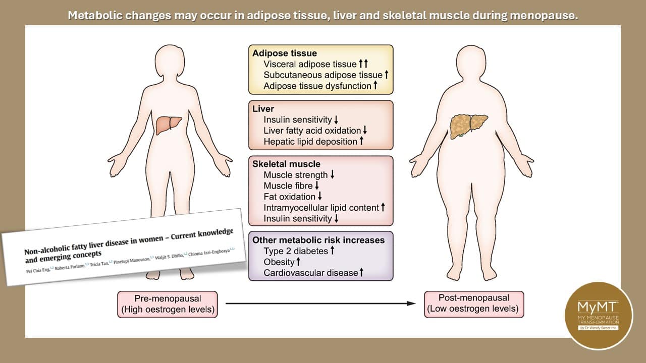 Illustration showing the five reasons for post-menopause weight gain