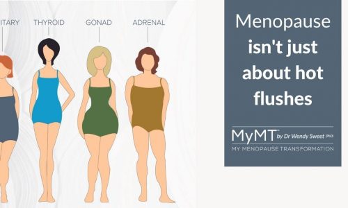 Body type grey - Menopause isn't just about hot flushes (landscape) 2023 (002)