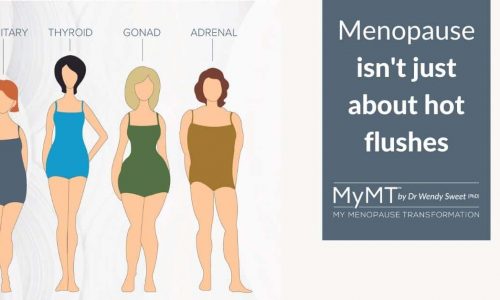 Body type grey – Menopause isn’t just about hot flushes (landscape) 2023 (002) Body type grey - Menopause isn't just about hot flushes (landscape) 2023 (002)