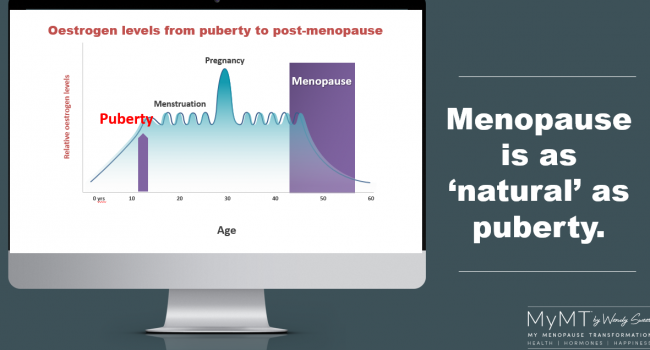 Puberty to Menopause Slide Snippet Grey