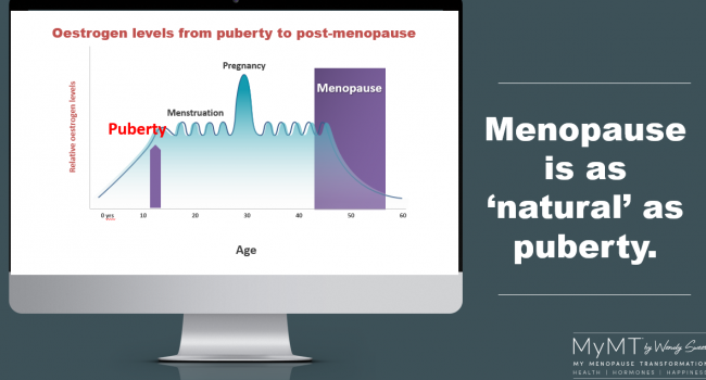 Puberty to Menopause Slide Snippet Grey Puberty to Menopause Slide Snippet Grey