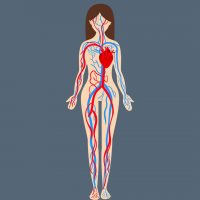 Womans Body Square